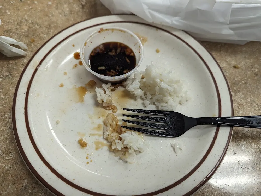 Karaage Chicken Ended